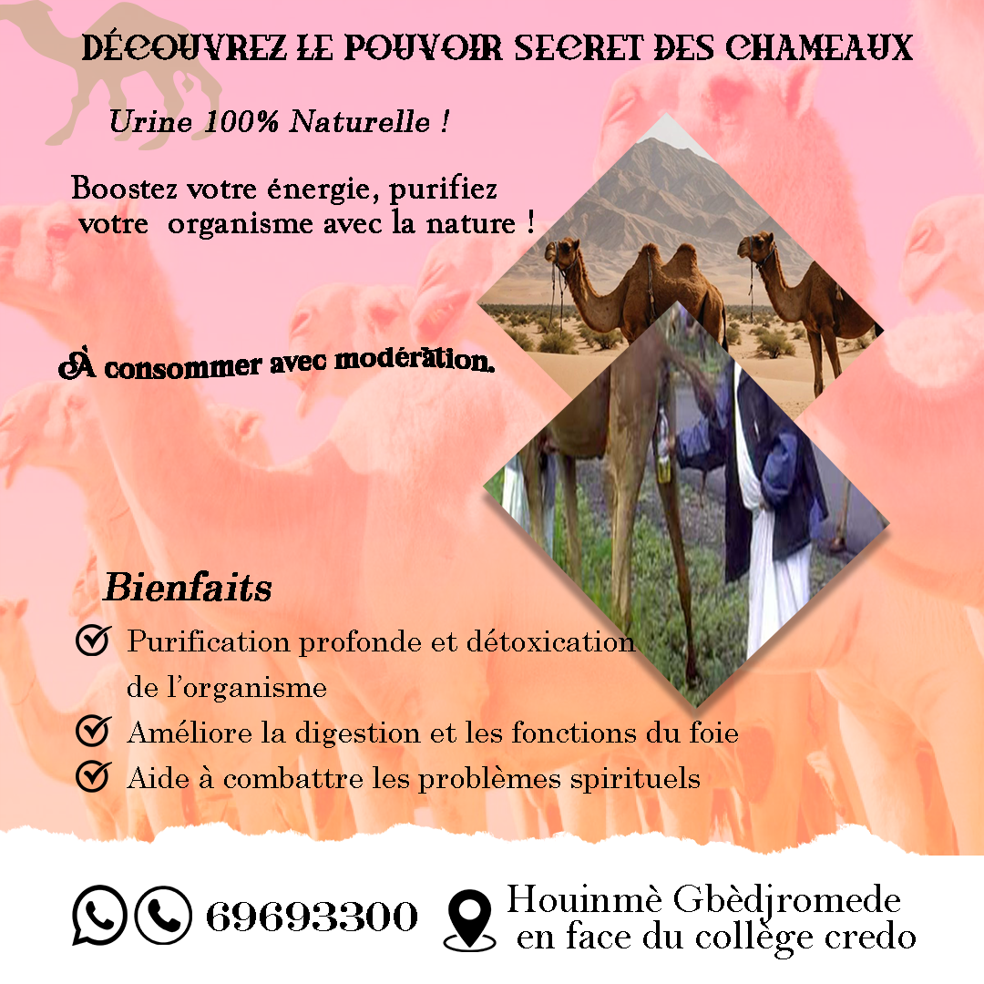 Image Projet